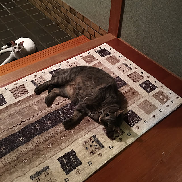 akekuroankoさんの実例写真