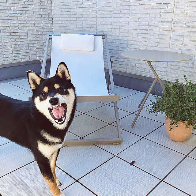 nuruiさんの実例写真