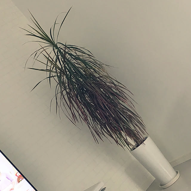 grasshopperさんの実例写真