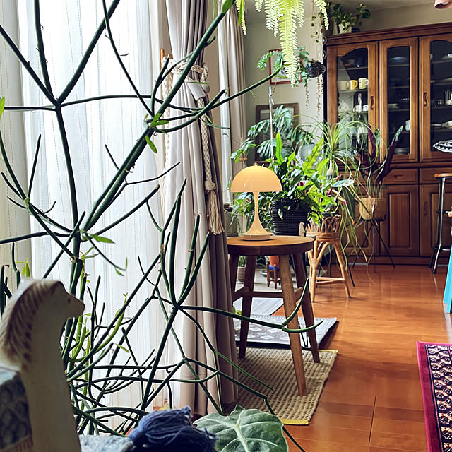 miyamiyaさんの実例写真