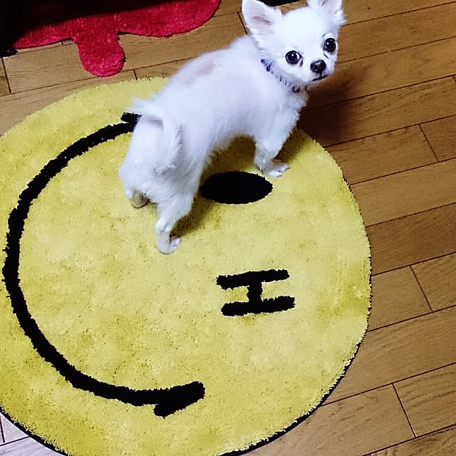 NINOSHINOさんの実例写真