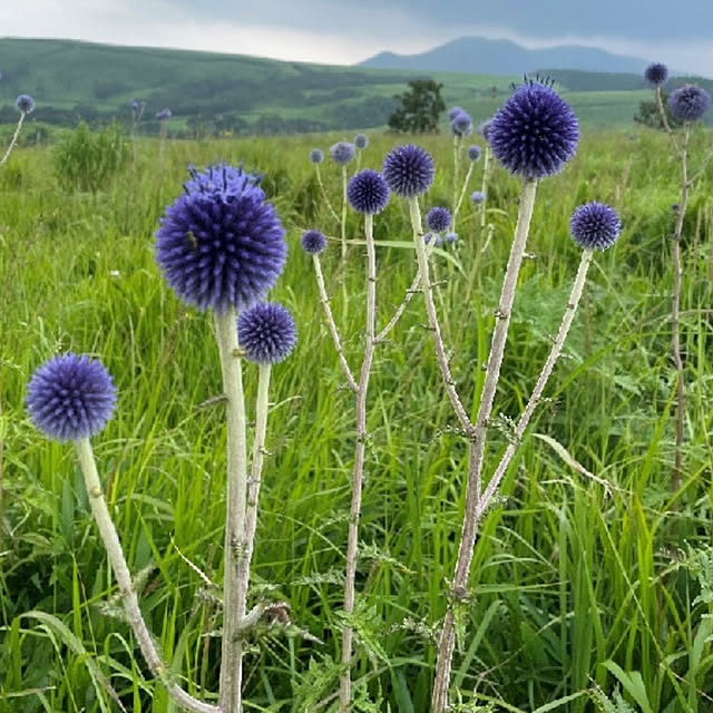 kyoko1124koさんの部屋