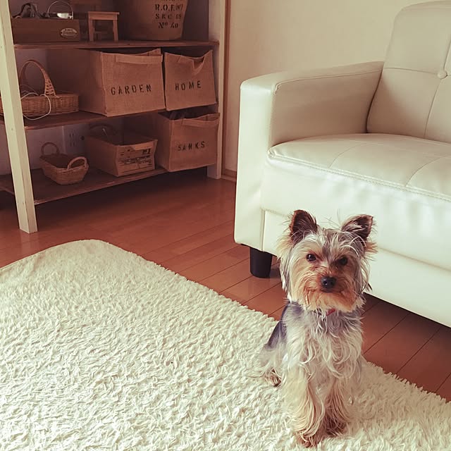 mayuoさんの実例写真