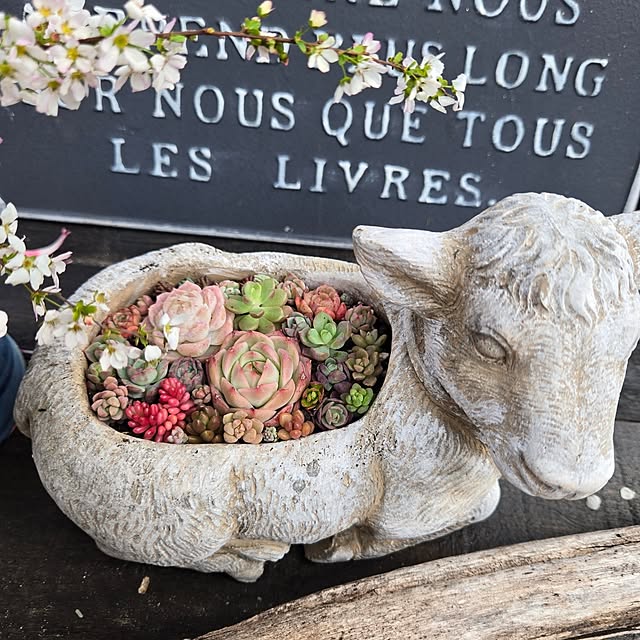 min_nimさんの部屋