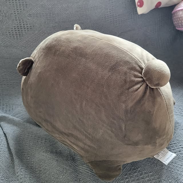 akimameさんの部屋