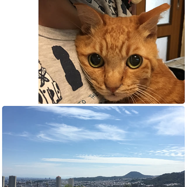 frostyさんの実例写真
