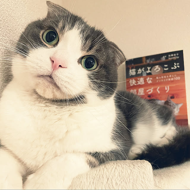 tansukeさんの実例写真
