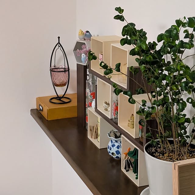 mi-saさんの部屋