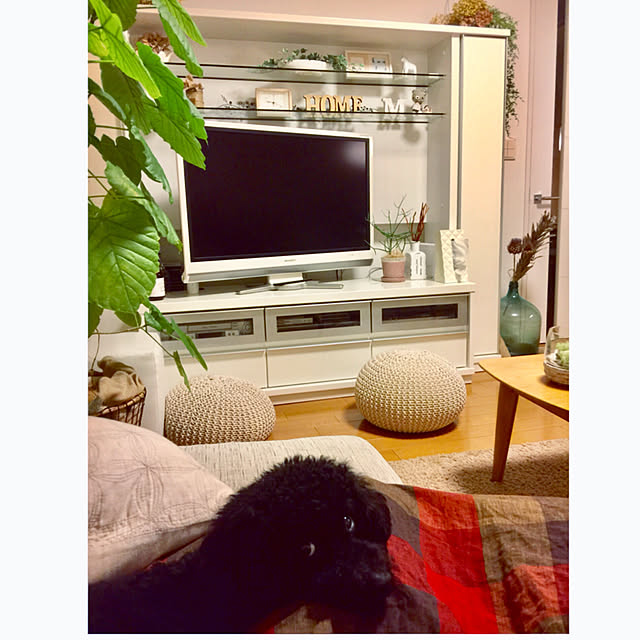 UNI.mamaさんの実例写真