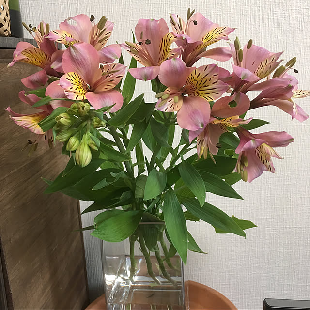 Ryokoさんの実例写真