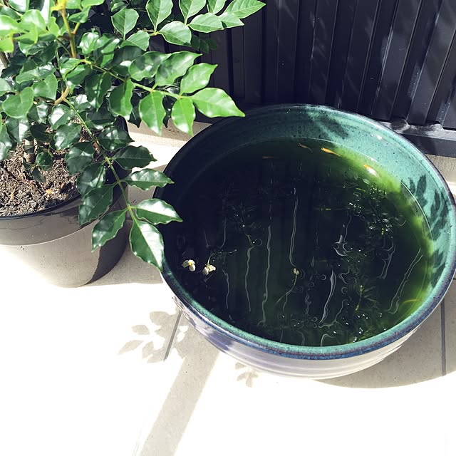 riaさんの実例写真