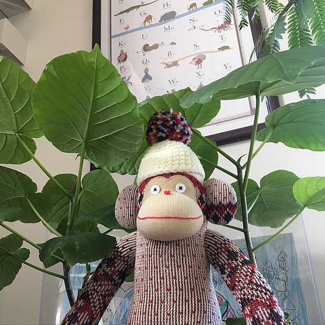 tomoyukiさんの実例写真