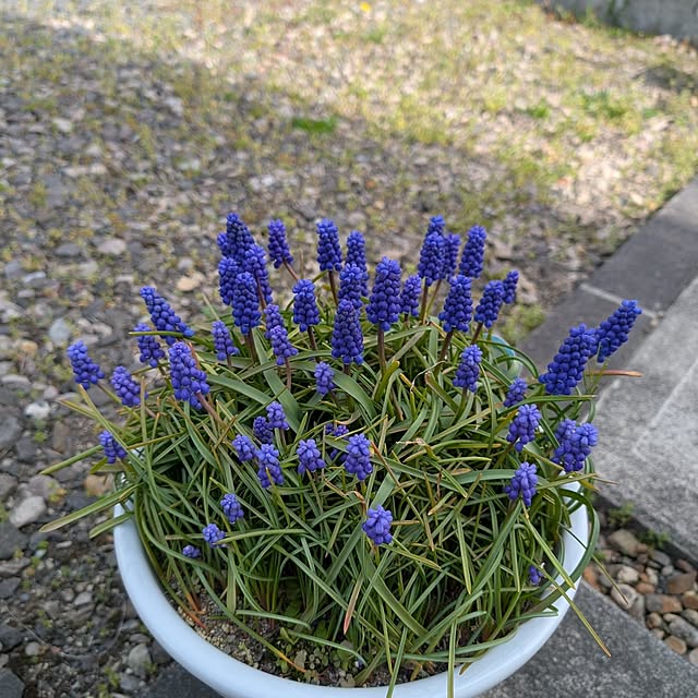 KOHAKUさんの部屋