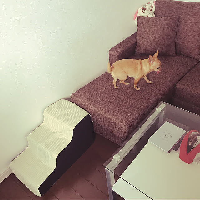umeさんの実例写真