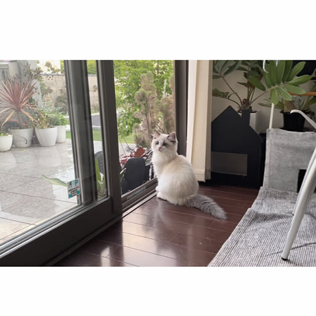 emさんの実例写真