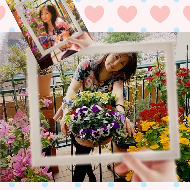 Aqettyさんの実例写真