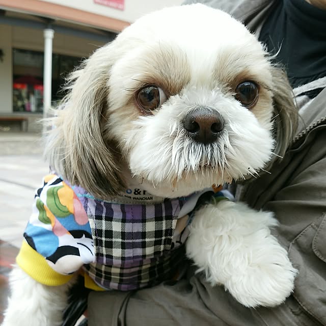 ronさんの実例写真