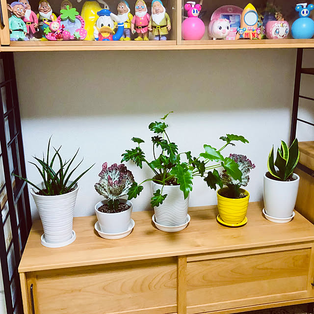 hanachanさんの部屋