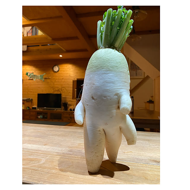 kozakura10さんの実例写真