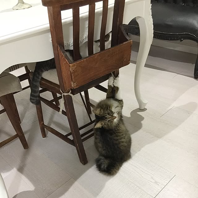 yuchiさんの実例写真