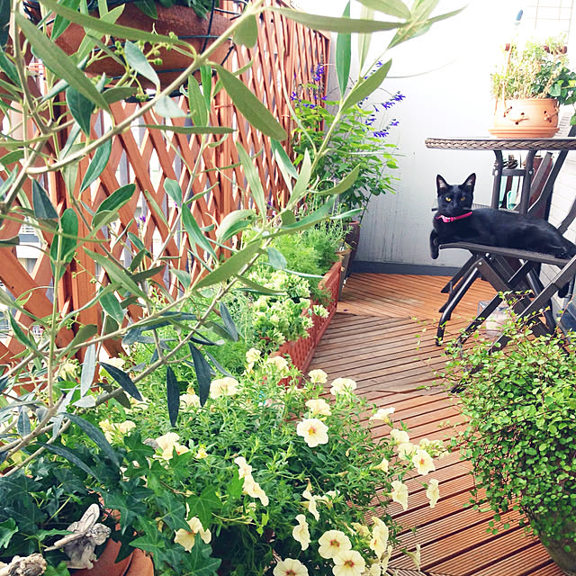 misakumaさんの実例写真