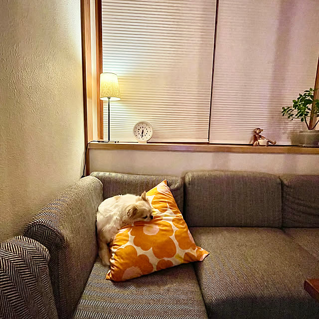haritakaさんの実例写真