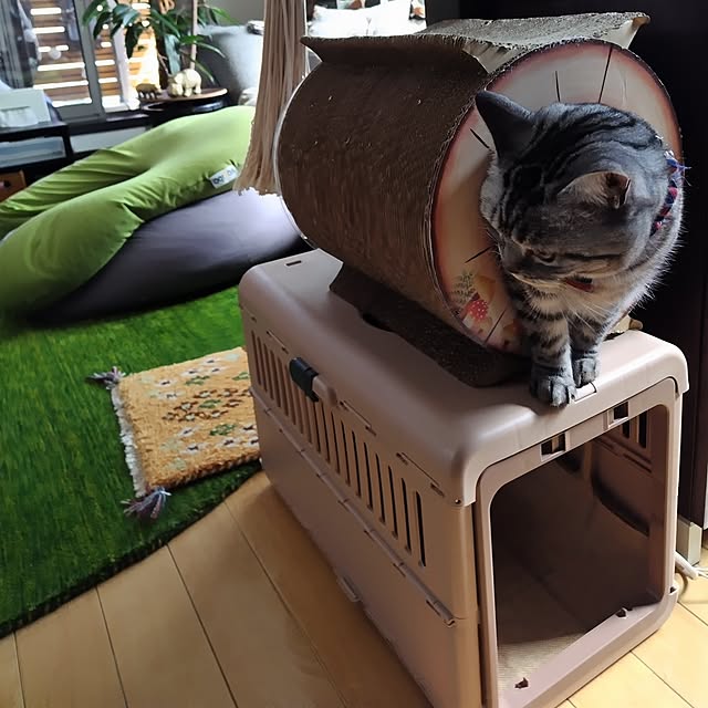 hiro3さんの部屋