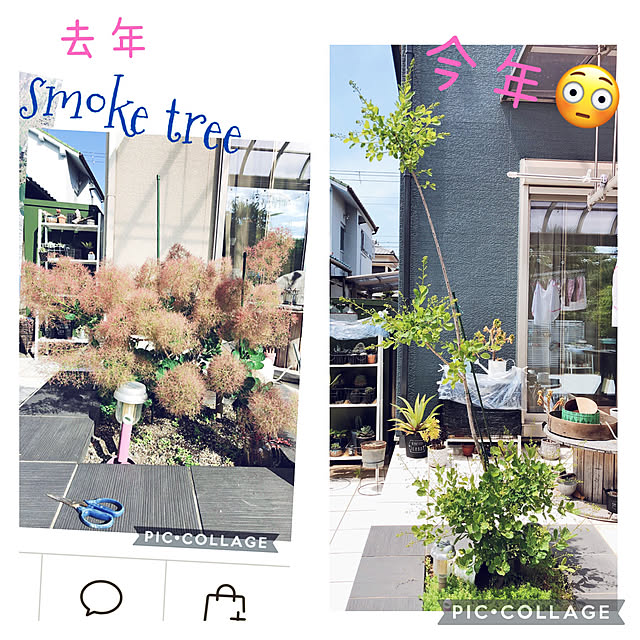 craneさんの実例写真