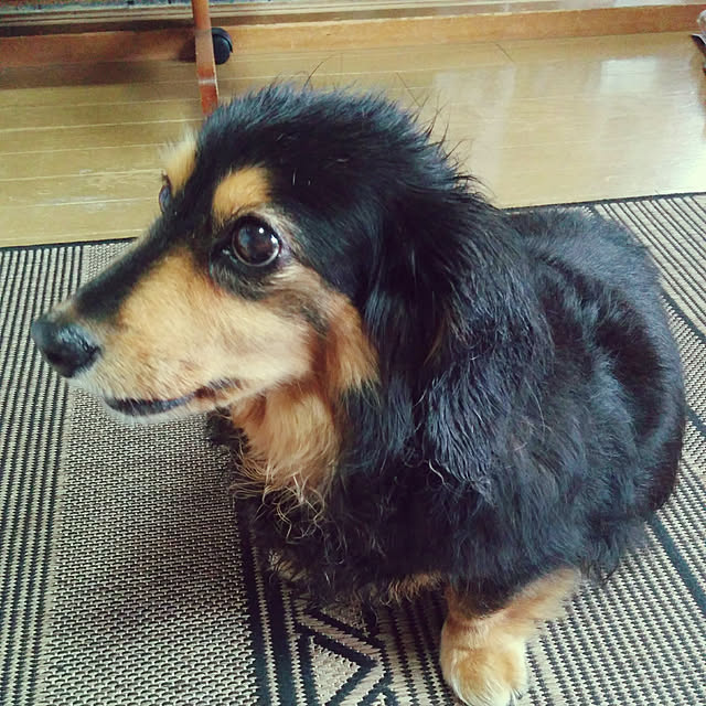 mayuさんの実例写真