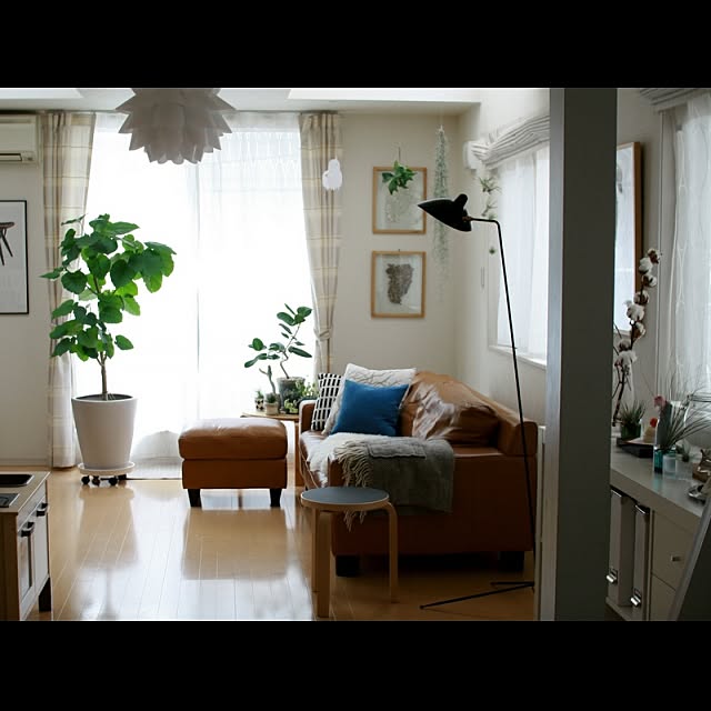 koenyokoさんの実例写真