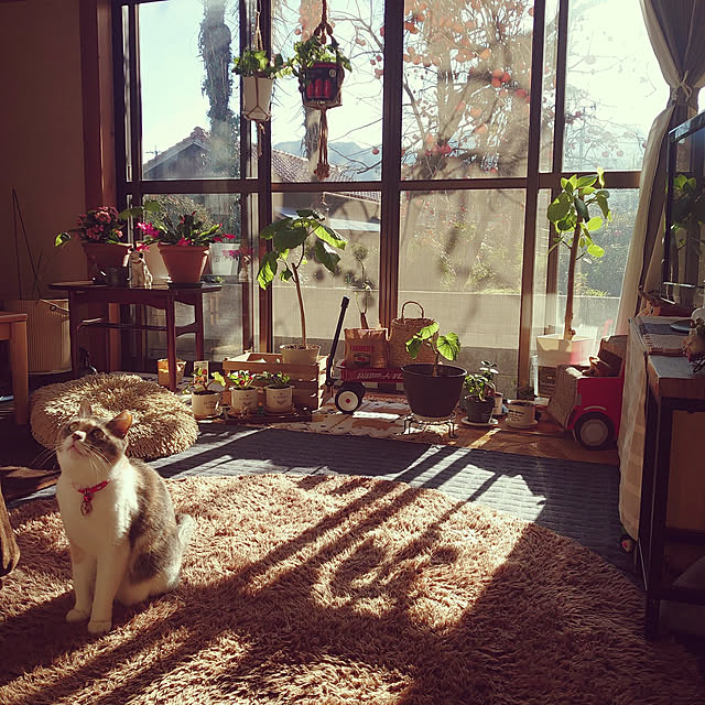 fukuさんの実例写真