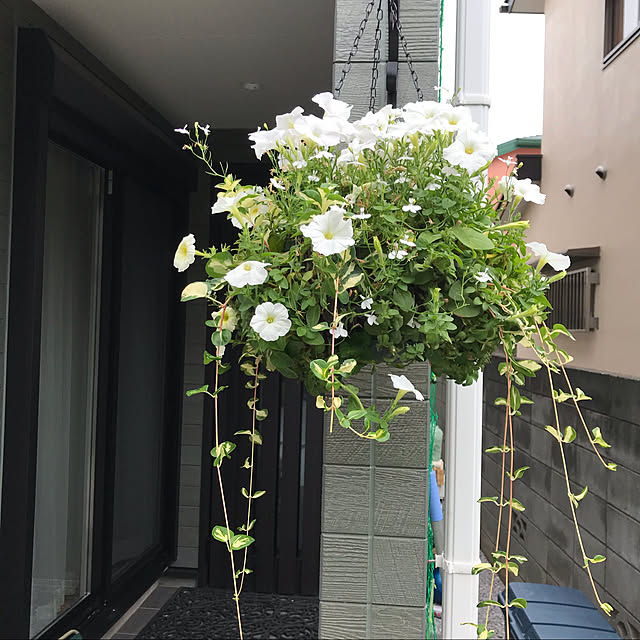 Mokoさんの実例写真