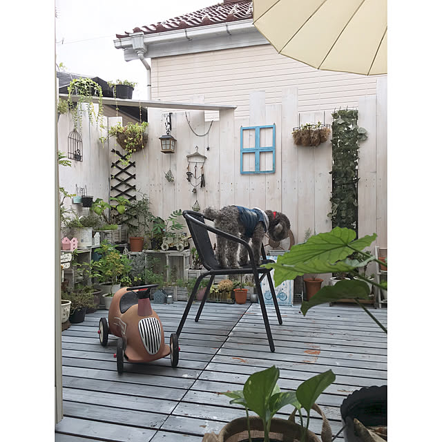 makoriさんの実例写真