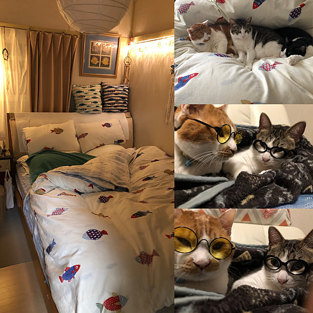 mikenekoさんの実例写真