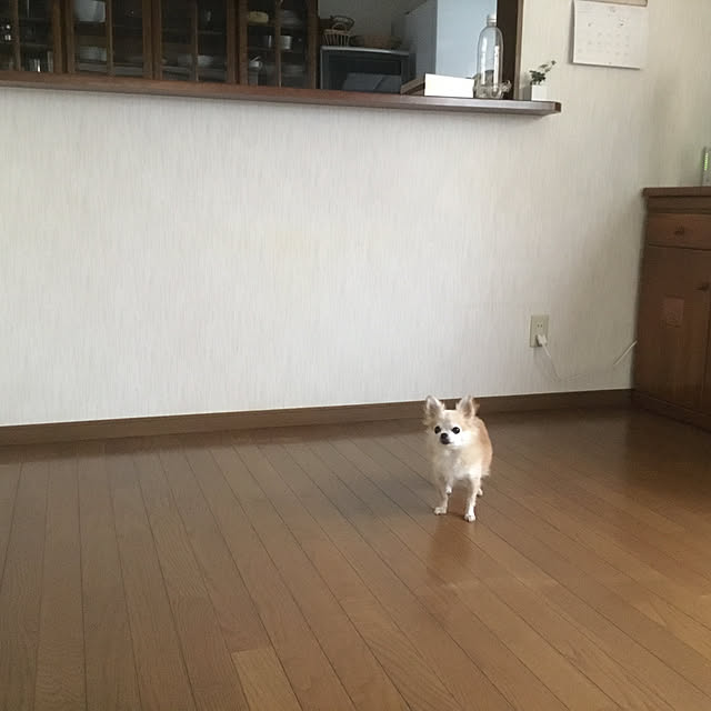 splush1219さんの実例写真