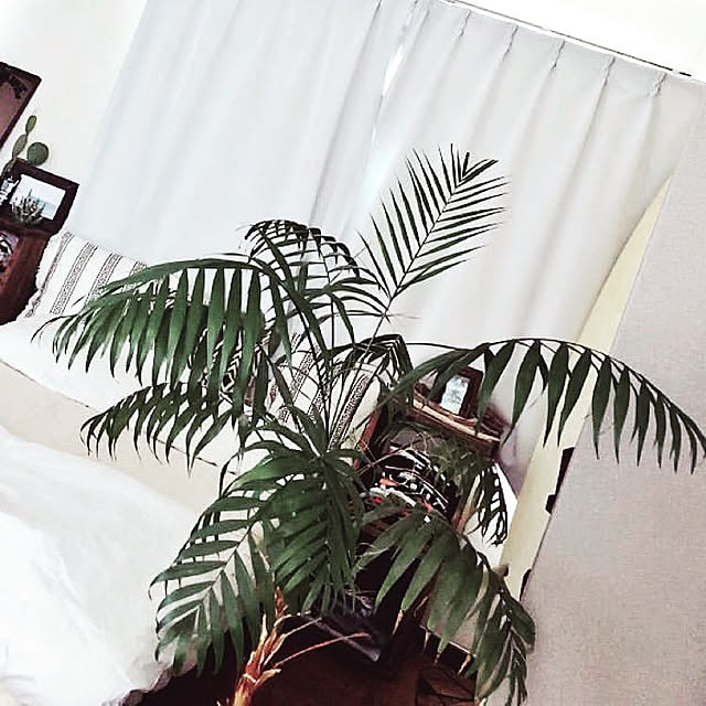 Instagram.xk2yxk2yxさんの実例写真