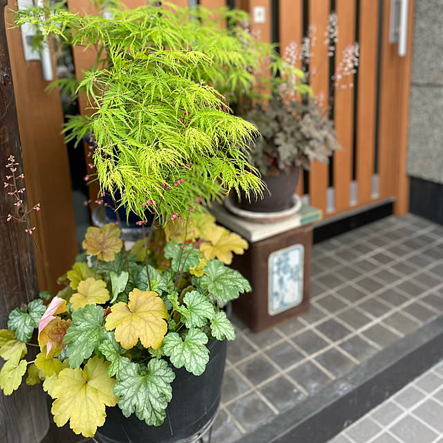 buchiさんの部屋