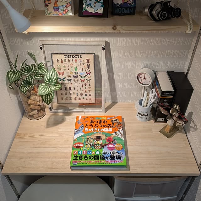 cochonさんの部屋