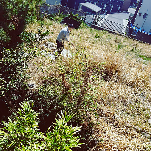 Harunaさんの実例写真