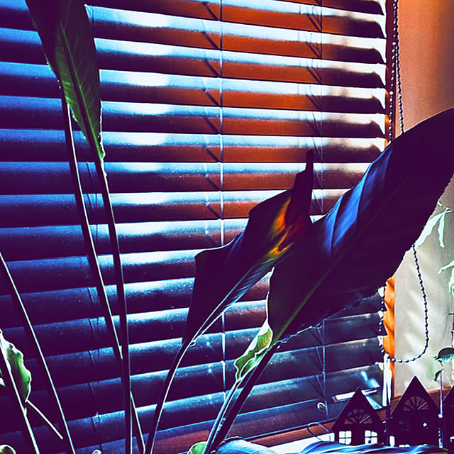 chacoさんの実例写真