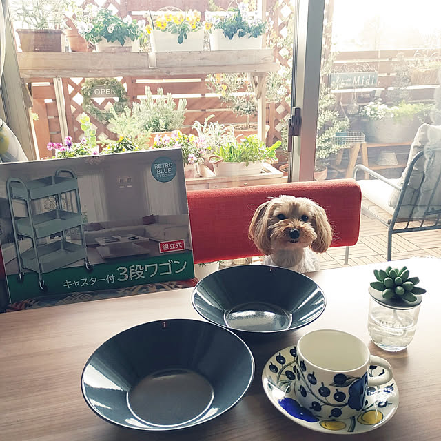 masumixさんの実例写真