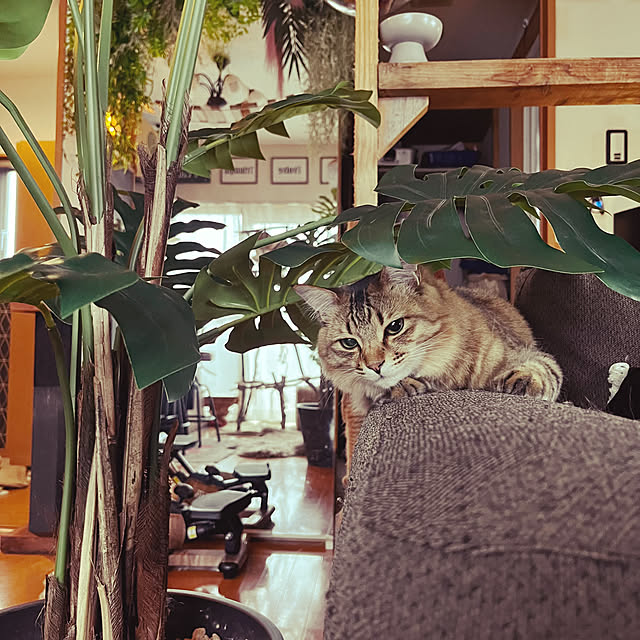 Mさんの実例写真