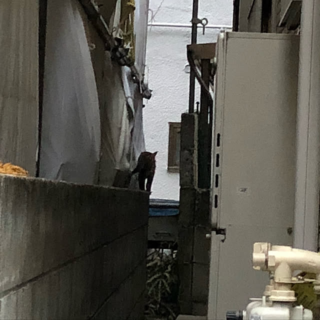 barinさんの実例写真