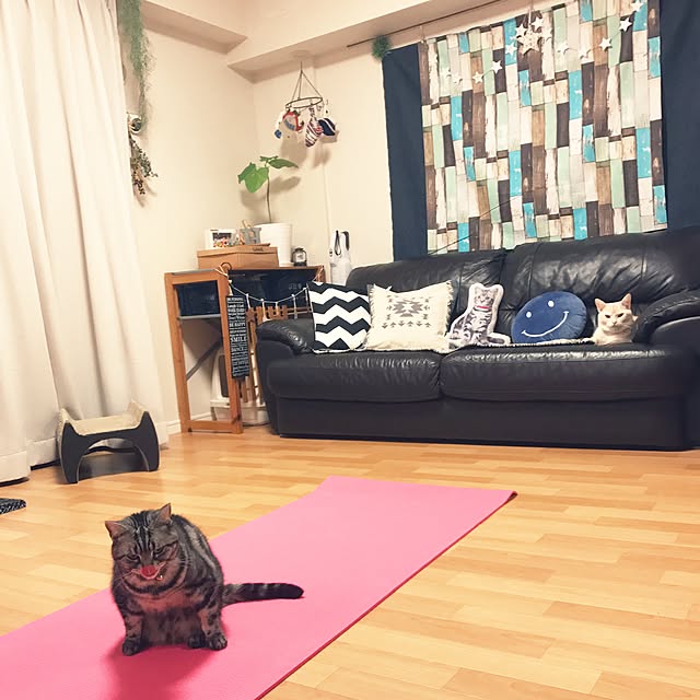 hiyupan88さんの実例写真