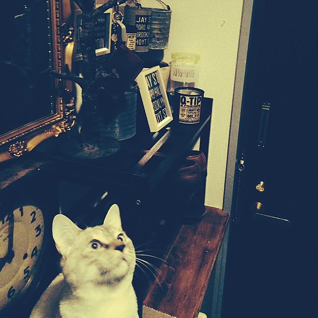 Naoki.さんの実例写真