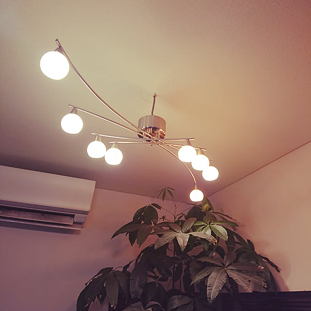 kawatemiki1225さんの部屋