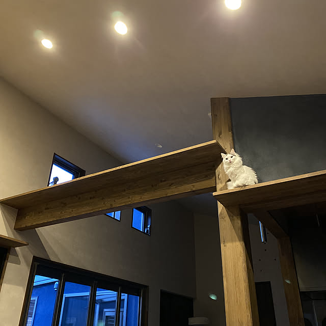 saさんの実例写真