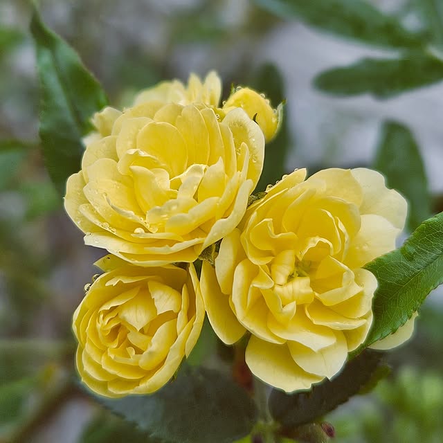 mocomocoさんの部屋