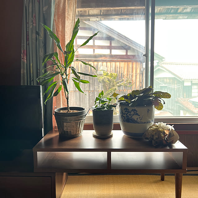 o87o87さんの実例写真