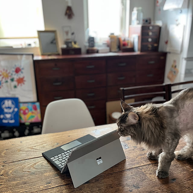 mayumiさんの部屋